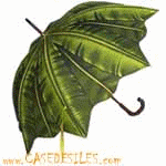http://www.casedesiles.com/Inserts/Souscategories/parasols-parapluies-plages-jardins-terrasses/parapluies-exotiques-originaux-des-iles.gif