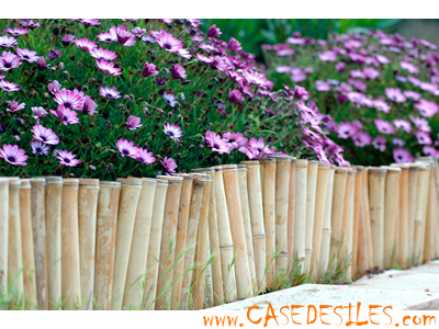 bordures de bambou à massifs ou de plantes et jardins