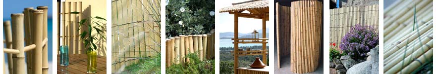 tiges en bambou et bâtons en bambou nature : applications et constructions