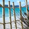 Barrière bambou plage et prairie 