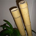 Bâton de bambou gros diamètre D120-150mm L295cm lot de 2