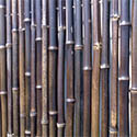 Clôture bambou noir régulière nature L2.5 - H2m