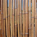 Clôture bambou régulière brunie L2 - H1.2m