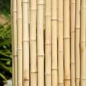 Clôture de bambou jardin régulier naturel L1.5 - H1m