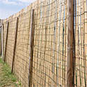 Palissade en bambou naturel  L200 x H200cm