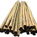 Tige bambou nature D80-100mm grande longueur L590cm