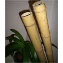 Tiges de bambou naturelles D100-120mm L295cm lot de 4