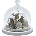 Décoration fond marin sous cloche en verre 12cm blanc