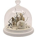 Décoration vie sous marine sous cloche en verre 12cm blanc cassé