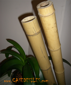 Bâton de bambou gros diamètre D120-150mm L295cm lot de 2 en promotion