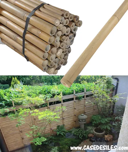 Bâton de bambou naturel D22-24mm L295cm lot de 10