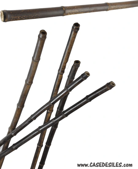 Bâton de bambou négra D30-35mm L2.95m