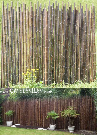 Clôture bambou noir 250cm haut 170-200cm D2cm