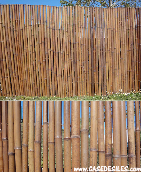 Clôture bambou régulière brunie L2 - H1.2m