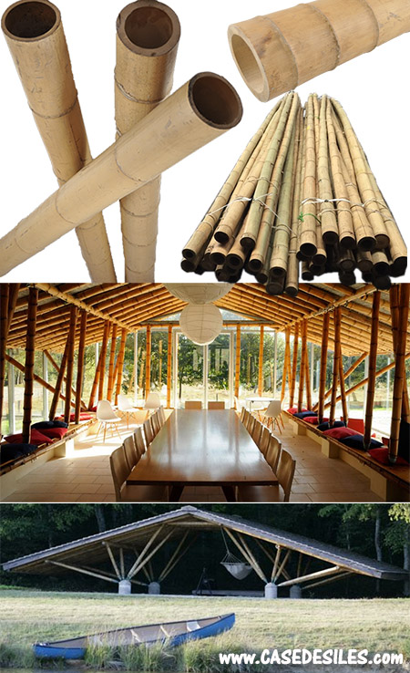 Tige bambou décoratif nature