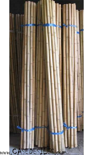 Tiges de bambou natures clair D22mm L300cm lot de 20