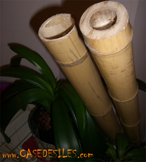 Tiges bambou gros diamètre 140-180mm L295cm lot de 2