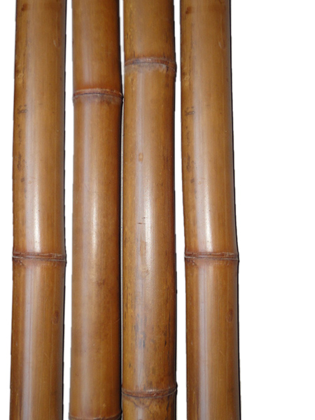 Tiges de bambou naturelles brunies D6-7cm L2.3m en Lot de 2