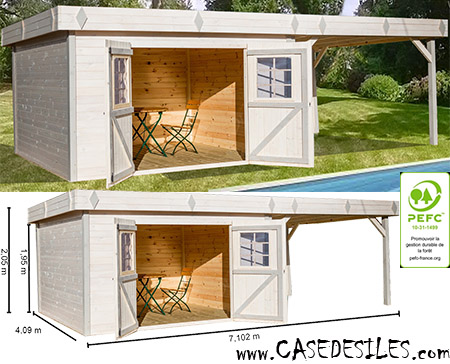 Abri de jardin en bois