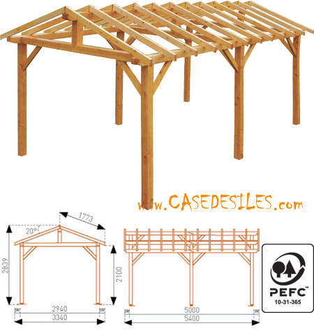 Auvent de terrasse en bois