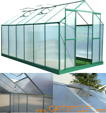 Serre aluminium et polycarbonate de jardin SR4330