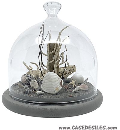 Déco marine sous cloche en verre