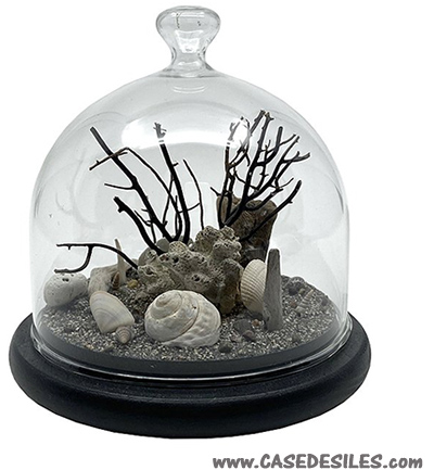 Décor vie corallienne sous cloche en verre 12cm noir