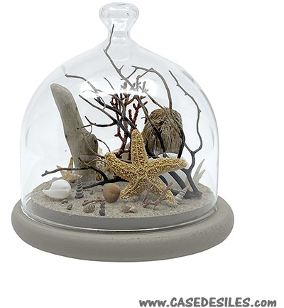 Décoration fond de mer sous cloche en verre 12cm taupe