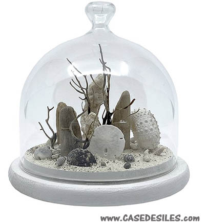 Décoration fond marin sous cloche en verre 12cm blanc