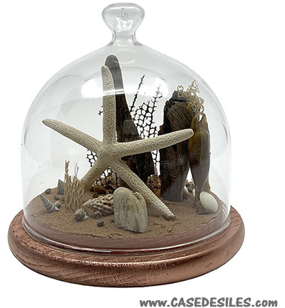 Décoration marine sous cloche en verre 12cm cuivre