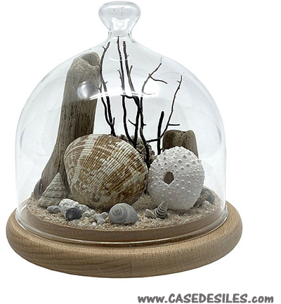 Décoration univers marin sous cloche en verre 12cm nature