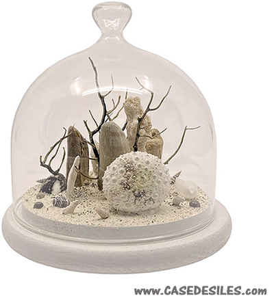 Décoration vie sous marine sous cloche en verre 12cm blanc cassé